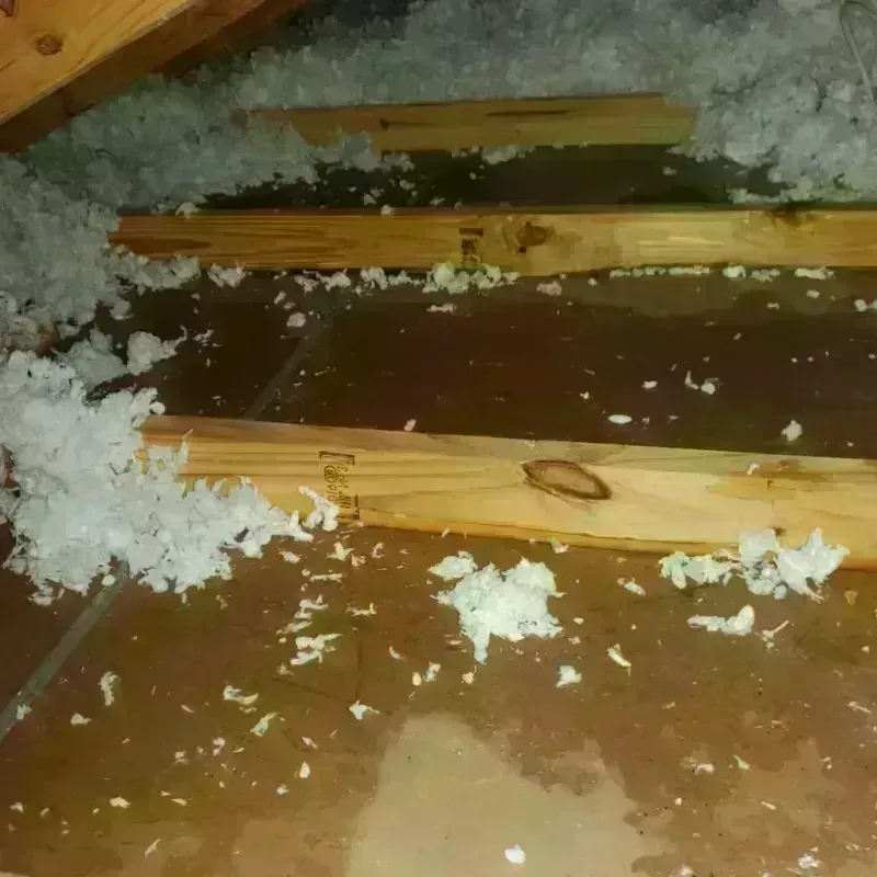 Attic Water Damage in Greenwood, MO