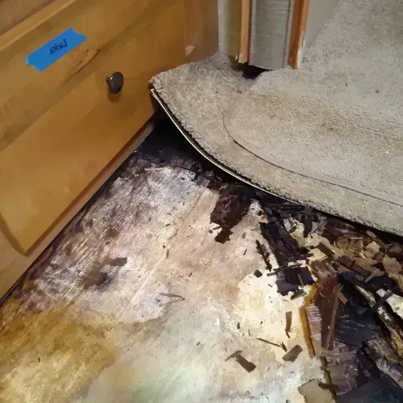 Wood Floor Water Damage in Greenwood, MO